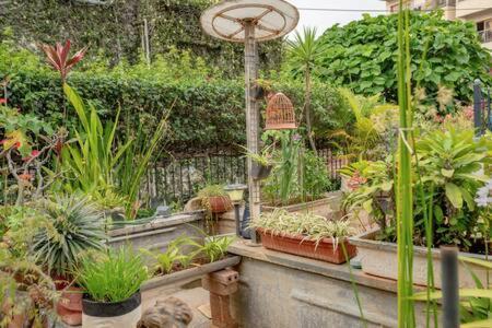 Eden Garden Villa By Jadecaps Nr Mg Road Garden 벵갈루루 외부 사진