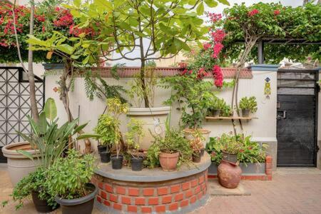 Eden Garden Villa By Jadecaps Nr Mg Road Garden 벵갈루루 외부 사진